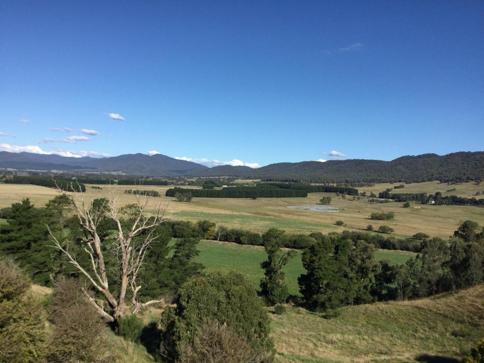 Rosewhite House Bed and Breakfast Myrtleford Εξωτερικό φωτογραφία