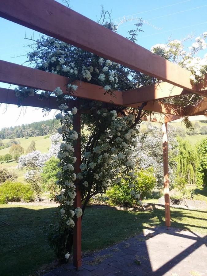 Rosewhite House Bed and Breakfast Myrtleford Εξωτερικό φωτογραφία